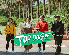 海角大神《TOP DOG》免费在线观看