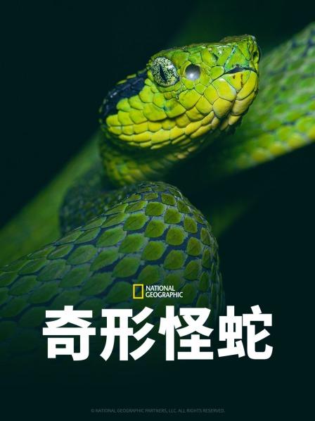 海角官方首页《奇形怪蛇》免费在线观看